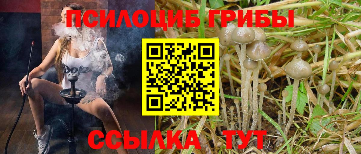Псилоцибиновые грибы мухоморы  Галлюциногенные грибы Psilocybine cubensis  Вход с VPN  Чусовой 